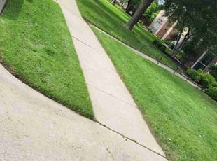 Tami H.'s Grass Cutting service result