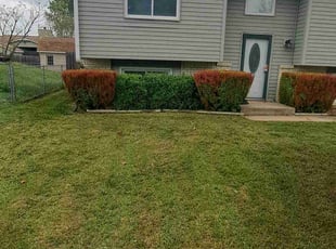 Bush Trimming by William Beacham for Linda P. in Wichita, KS
