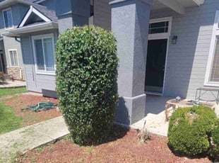 Bush Trimming by Delbert Jones for Constance C. in Meridian, ID