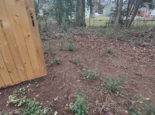 Weeding by Michael Cherry for Ezelle S. in Charlotte, NC