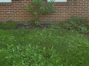 Landscaping by James Smith for Judy H. in Delaware, OH