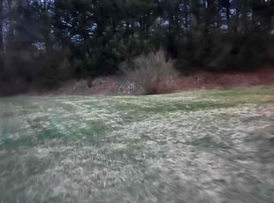 Leaf Removal by Ruben Hill for Andrew I. in Southington, CT