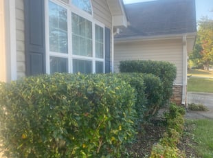 Bush Trimming by Austrando Hunter for Janell F. in McDonough, GA