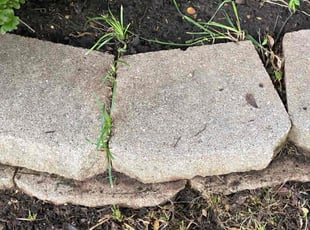 Leaf Removal by Sage Fox-ford for Christal H. in Norman, OK