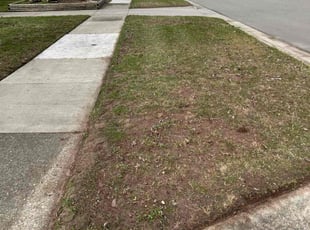 Leaf Removal by Francisco Aviles for Ryan T. in Grand Rapids, MI