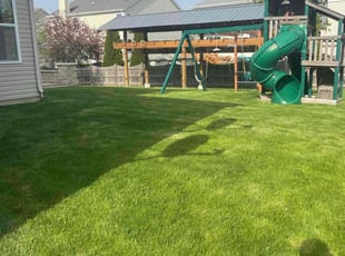 Kim E.'s Lawn Mowing Service service result