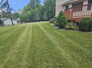Michaela B.'s Lawn Mowing service result