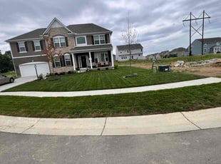 Tish B.'s Lawn Service service result
