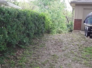 Bush Trimming by Keyon Spencer for Brad I. in Kansas City, KS