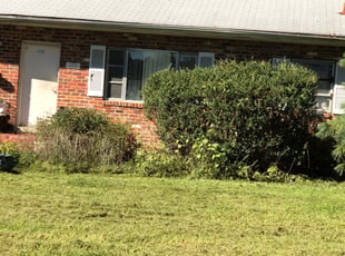 Bush Trimming by Theodore Thomas for Suzette E. in Richmond, VA