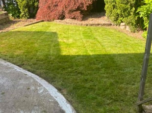 Maria J.'s Lawn Service service result