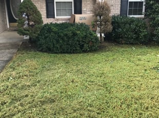 Bush Trimming by LaBronn Anderson for Aaron F. in Nashville, TN