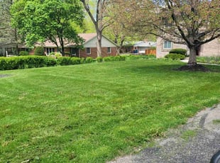 Dominique C.'s Lawn Mowing Service service result