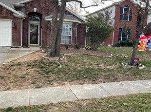 Leaf Removal by Samuel Fogg for Melinda Y. in Denton, TX