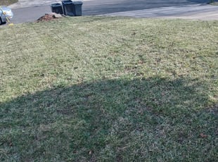 Leaf Removal by Dennis Joyner for Christopher G. in Bowie, MD