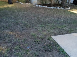 Leaf Removal by Benjamin Garza for Kelly I. in San Antonio, TX