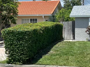 Cynthia P.'s Bush Trimming service result