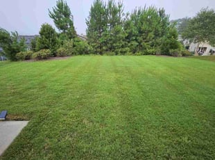 Donna G.'s Lawn Service service result