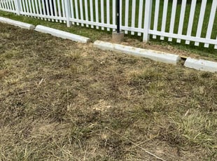 Cleanups by Samara Savage for Osazee O. in Marlow Heights, MD