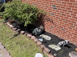 Mulching by Fredrick Mason for Jimmy S. in La Vergne, TN