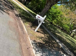 Leaf Removal by Johnny Torres for Sarah R. in Gibsonton, FL