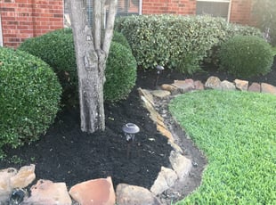 Mulching by Raudel Fraire for Tom F. in Spring, TX