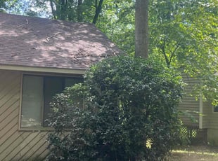 Marshall C.'s Bush Trimming service result