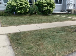 Cleanups by Steven Powe for Sabrina J. in Chicago, IL