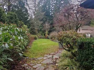 Jennifer T.'s Cleanups service result