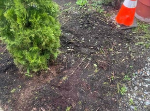Leaf Removal by Kurian Jones-Fryberg for Fitsum B. in Lynnwood, WA