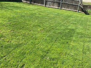 Christian K.'s Lawn Care service result
