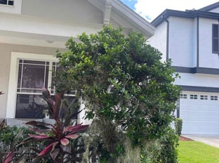 Bush Trimming by Ladarius Lathan for Lindsey L. in Windermere, FL