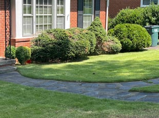 Bush Trimming by Kunique Billups for Laura H. in Richmond, VA