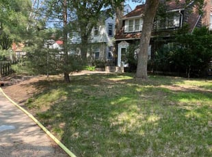 Leaf Removal by Michael VonBerge for Sue C. in Minneapolis, MN