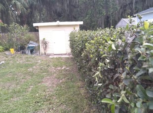 Bush Trimming by Robert Keene for Jim K. in Lake Wales, FL