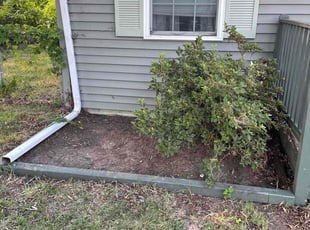 Weeding by Matthew Rutledge for iain b. in Richmond, VA