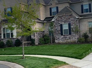 Dona S.'s Lawn Maintenance service result