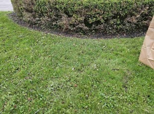Weeding by Leroy Green II for Tori R. in Columbus, OH
