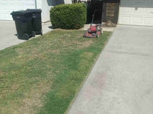 Lynda B.'s Yard Cutting service result