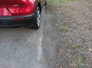 Cleanups by Jeremy Lee for Gene F. in St. Petersburg, FL