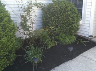 Mulching by Broderick Wilson for Michelle M. in Noblesville, IN