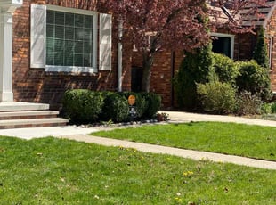 Bush Trimming by David Brooks for Barbara J. in Detroit, MI