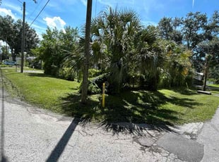 Nancy L H.'s Lawn Service service result