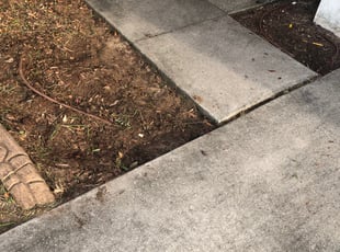 Weeding by Alberto A for Tiffany O. in Valrico, FL