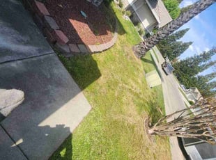 Cleanups by Juan Rodriguez for Arlene B. in Orangevale, CA