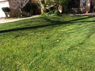 Melody W.'s Lawn Care service result