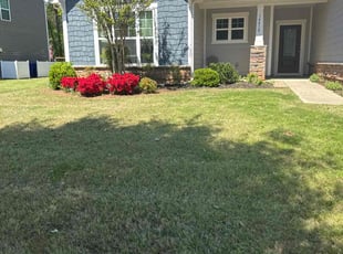 Bush Trimming by Claude Batts for Sara K. in Huntersville, NC