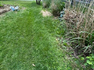 Weeding by Mike Jewell for Jeramey . in Columbus, OH