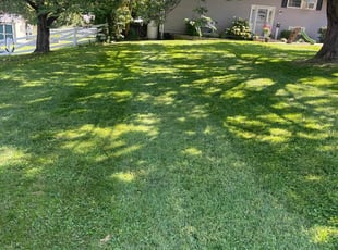 Ronald S.'s Yard Cutting service result