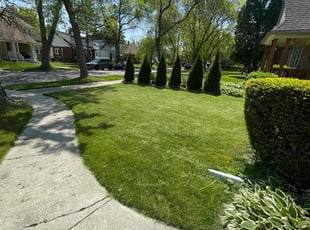 Dwight B.'s Lawn Mowing Service service result